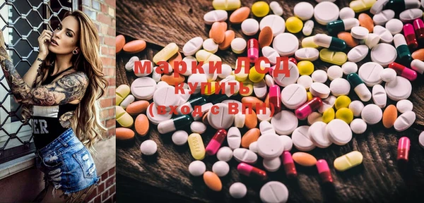 PSILOCYBIN Алзамай
