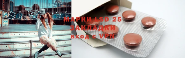 PSILOCYBIN Алзамай